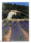 Notitieboek 'Provence'
AKTIE